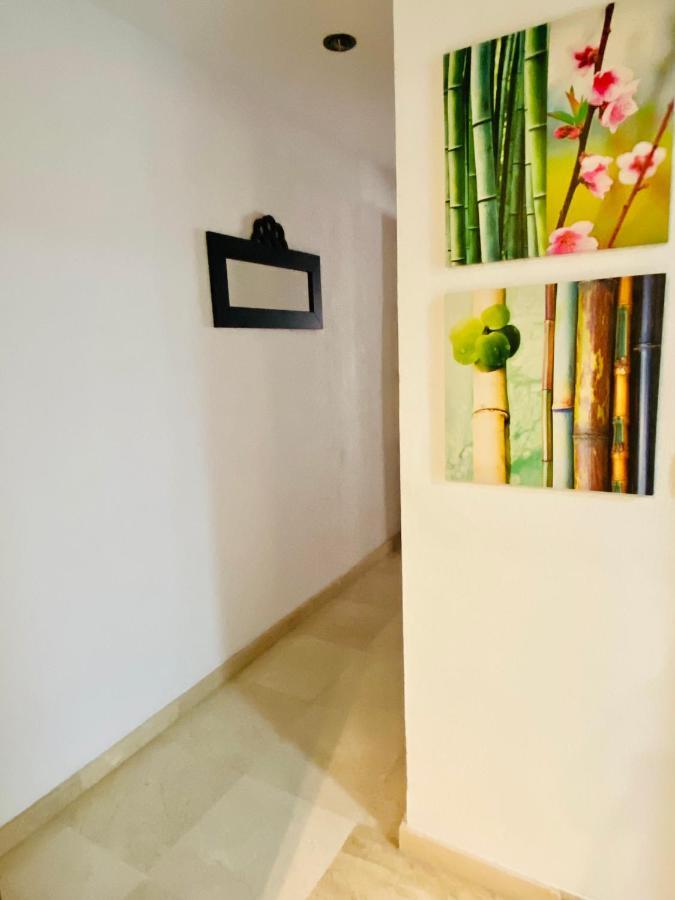 Apartamento Calle Pérez De Castro *